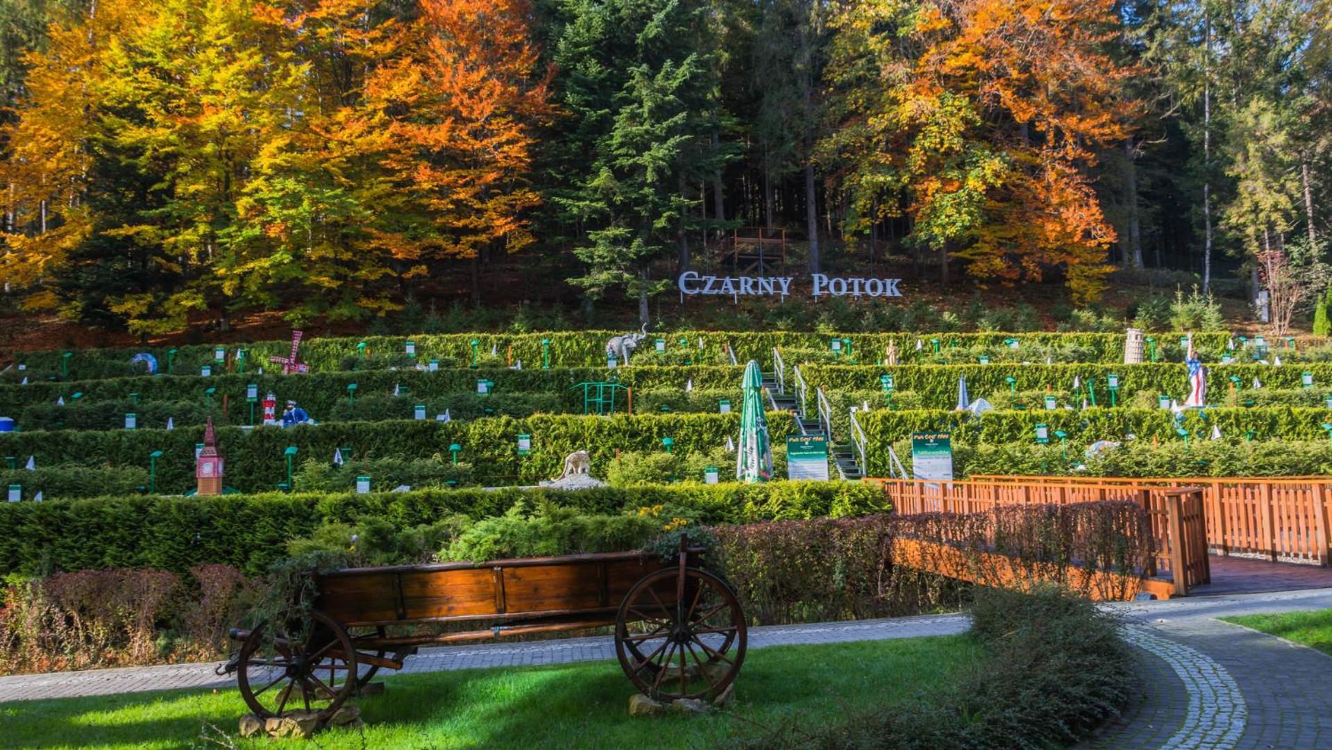 Hotel Czarny Potok Resort Spa & Conference Krynica Zdroj Exterior foto